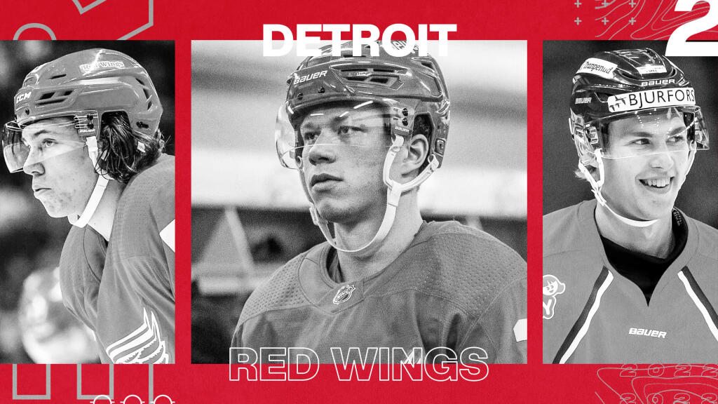 Detroit Red Wings 2021-22 Player Grades & Evaluations