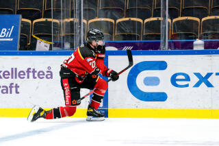 Elite Prospects Swedish Hockey League Shl