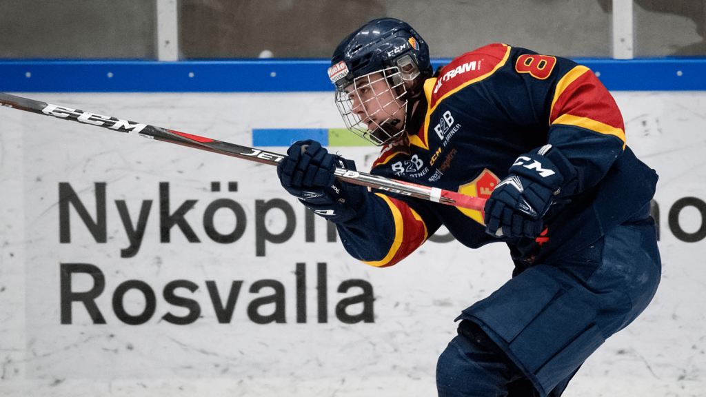 BLOG: A deep-dive into the Swedish Under-20 development leagues