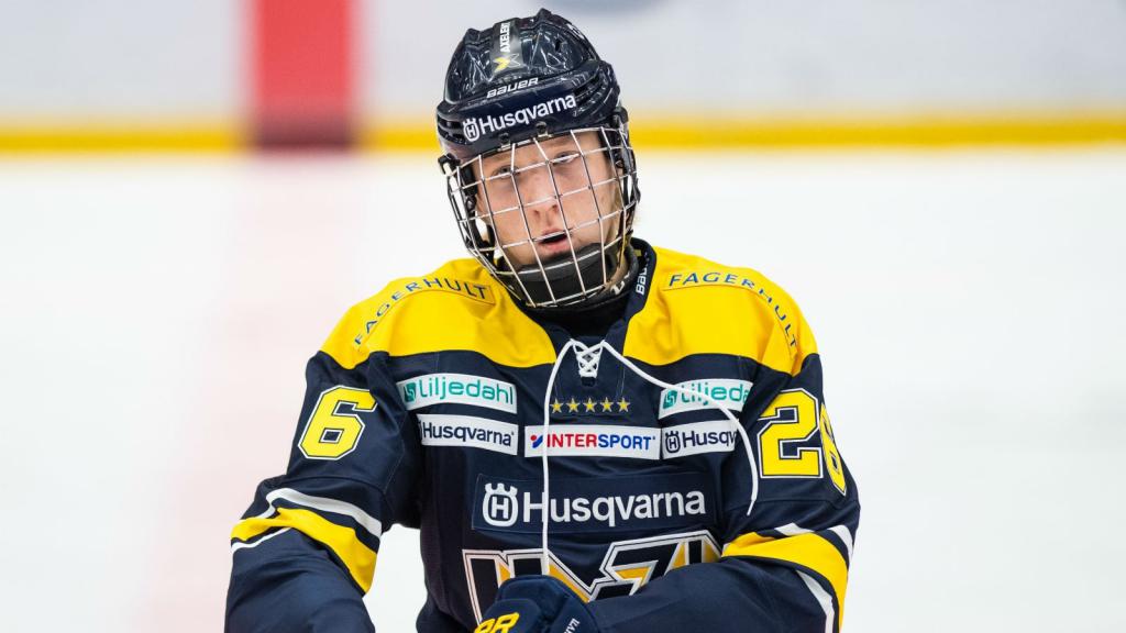 SCOUTING REPORT: Holmström, Holtz, Björnfot dominant in Swedish Juniors