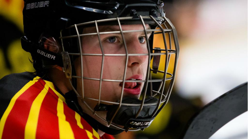 Next in line – Söderström the latest Swedish D-man to rave about