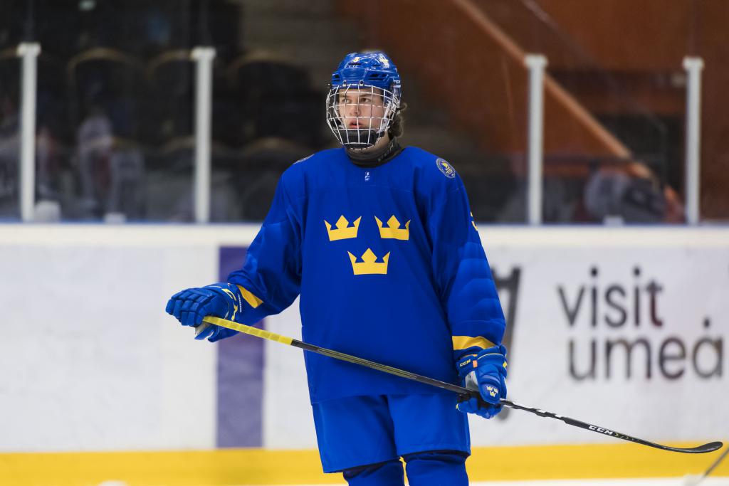 Post-Draft Prospect Profiles: Albert Johansson No. 60 to the Detroit Red Wings