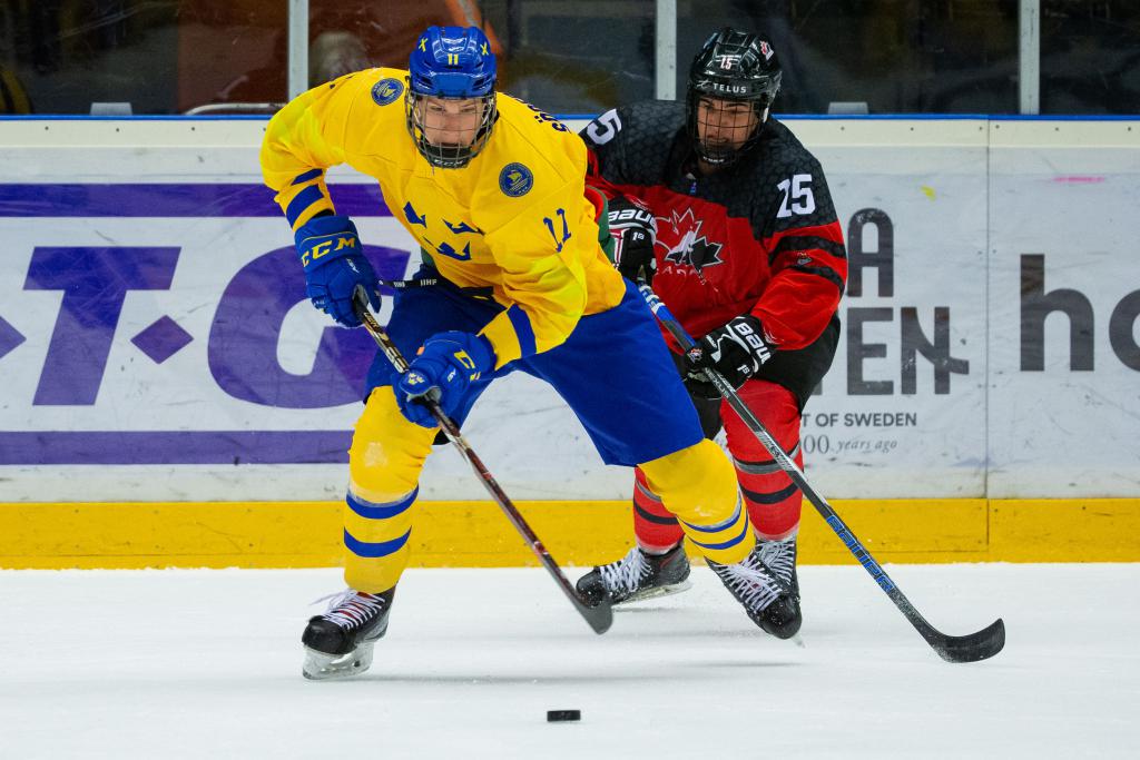 Post-Draft Prospect Profiles: Elmer Söderblom No. 159 to the Detroit Red Wings