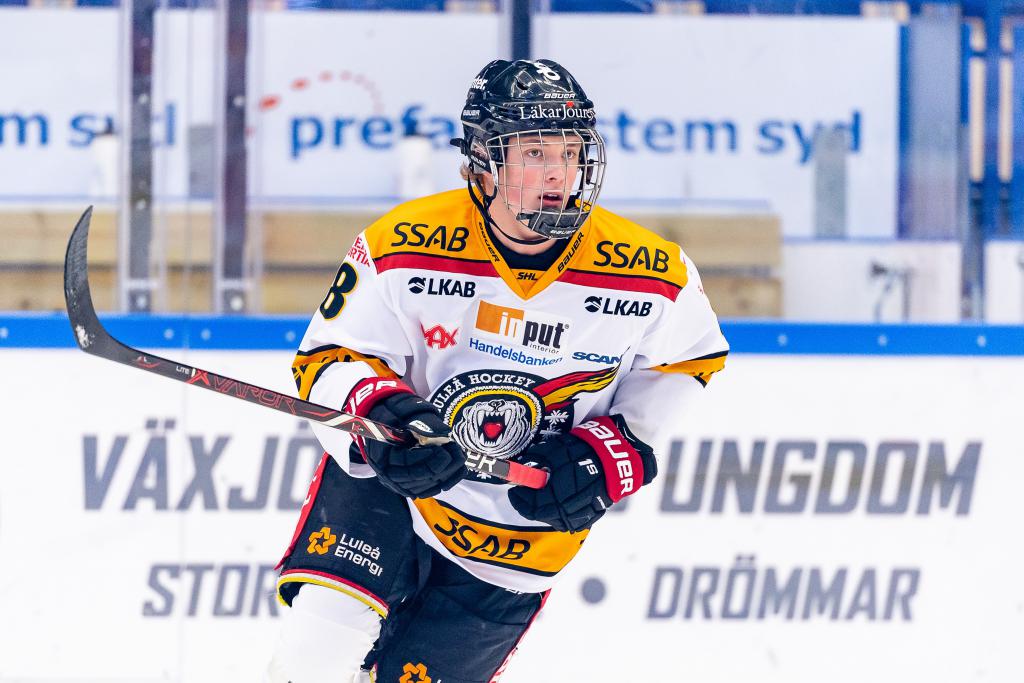 How an Unexpected Cut From Sweden’s U18 Roster is Motivating Noel Gunler in his Draft Year